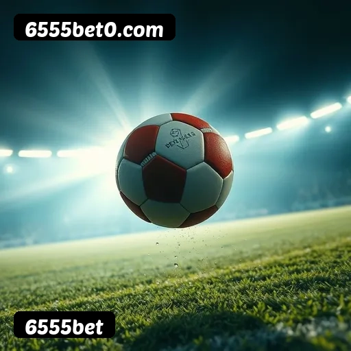Níveis do programa VIP da 6555bet